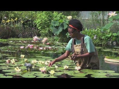 How to pursue a 'Green Career'