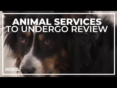 Multnomah County pledges action to address animal service shelter lapses