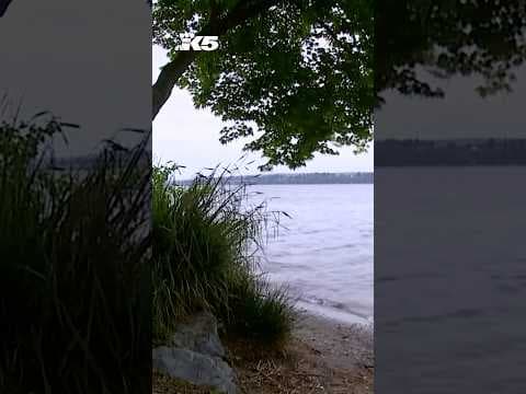 Neighborhood group sues Seattle over "illegal activities" at beach