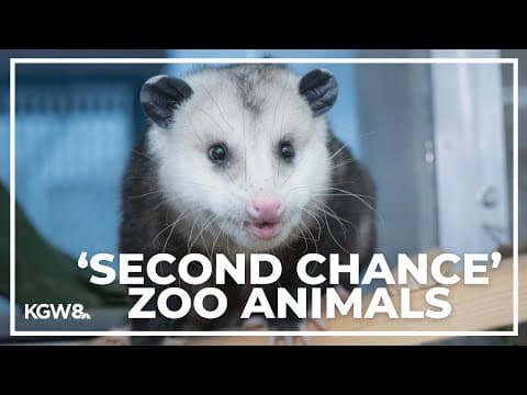 Meet the animals getting a second chance at the Oregon Zoo
