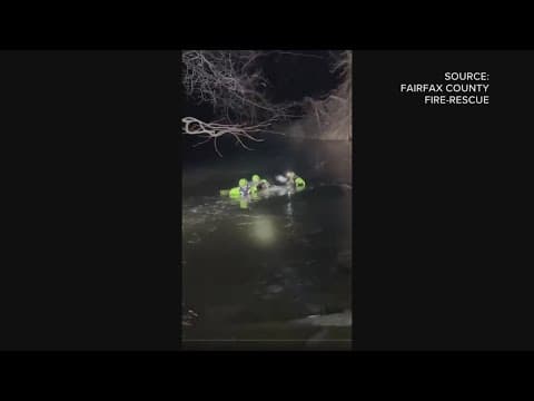 Dog rescued from frozen creek in Springfield