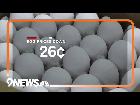 On the Hunt for Cheaper Eggs: Will Egg Prices Go Down Before Easter?