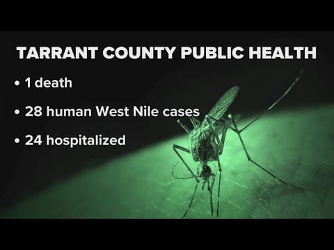 North Texas health officials urge protection against mosquitoes amid spike in West Nile cases