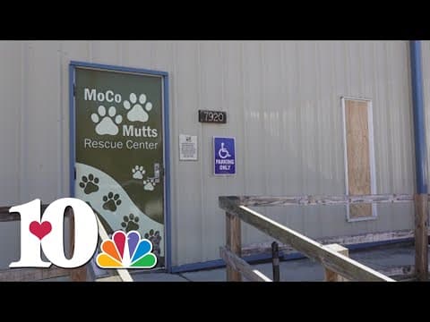 Morgan Co. first-graders raise more than $2,500 for an animal rescue center after building damaged