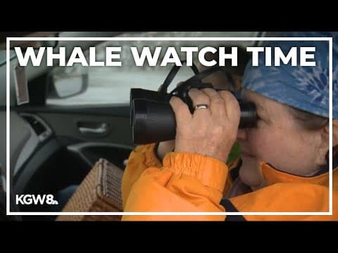 Spring Whale Watch Week begins this weekend for Oregon coastgoers