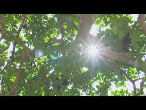 Houston braces for intense heat as city facilities offer relief