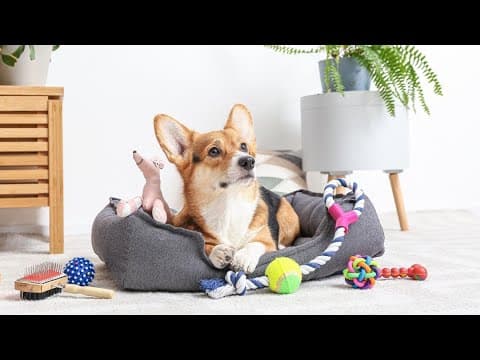 What's on sale during Amazon Pet Day Sales Event