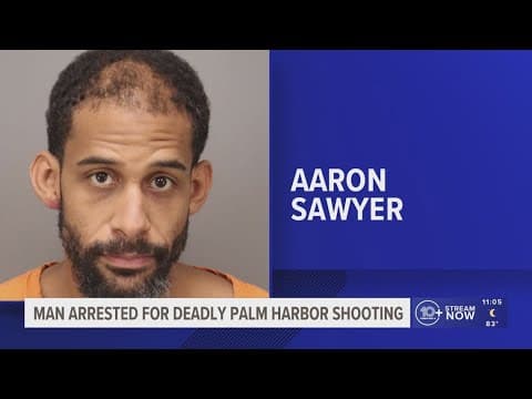 Man arrested on first-degree murder charge after teen shot, killed in Palm Harbor