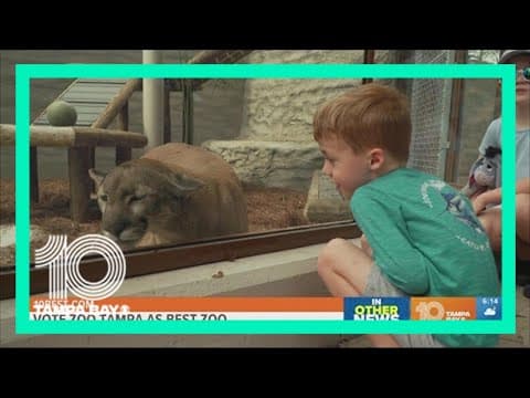ZooTampa nominated for USA Today's best zoo