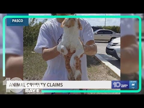 Woman claims animal cruelty after watching a man throw a cat in the water repeatedly in Pasco County