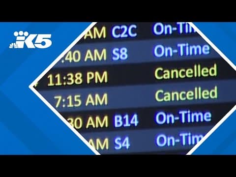 American Airlines resumes all flights after 'technical issue' impacts nationwide travel