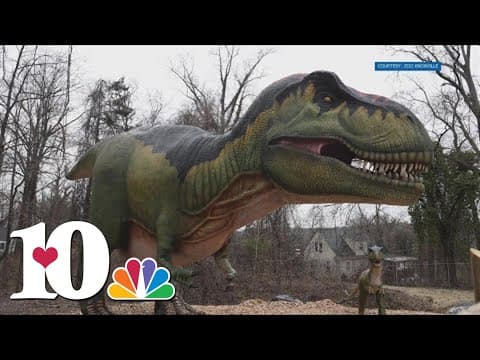 Zoo Knoxville bringing dinosaurs back!