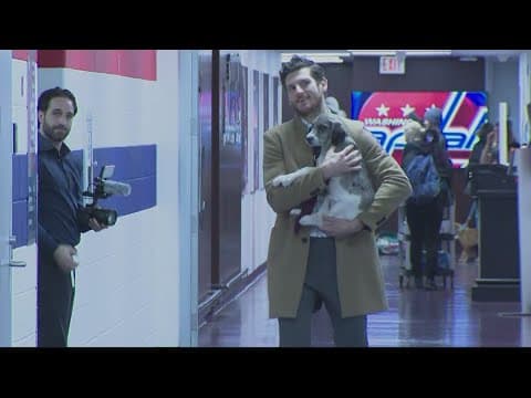 Washington Capitals host Caps Canine Night