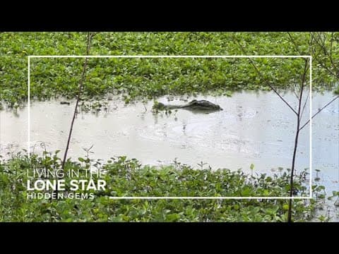 What'd the Houston area look like before settlers? Explore this Hidden Gem to find out.