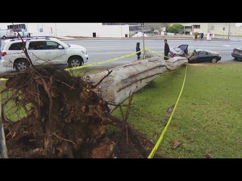 What to know if your home or car is damaged from recent storms