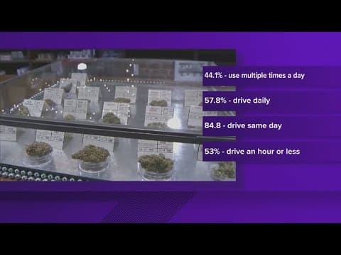 AAA study highlights connection between cannabis consumption and driving incidents