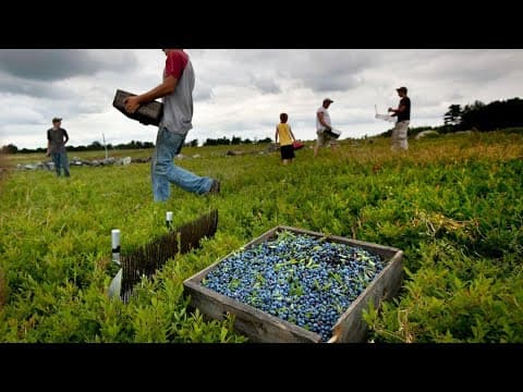 Farmers in Loudoun County eligible for federal aid due to summer drought