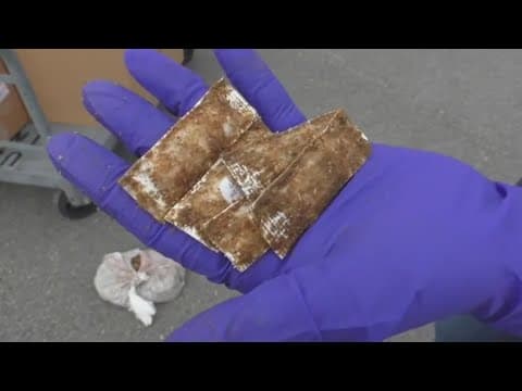 USDA dropping rabies vaccine baits in parts of East Tennessee, surrounding states