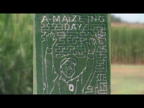 Owners of The MAiZE at Little Darby Creek honor Ohio State coach Ryan Day with this year's corn maze