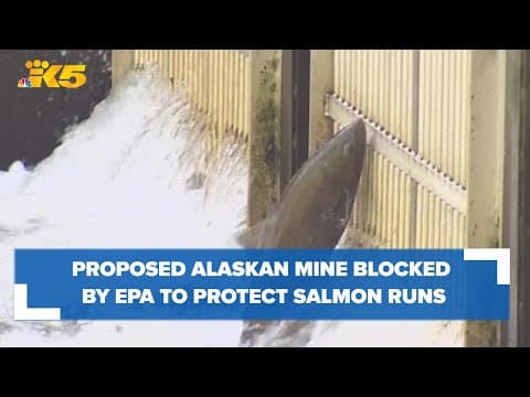 Proposed Alaskan mine blocked by EPA