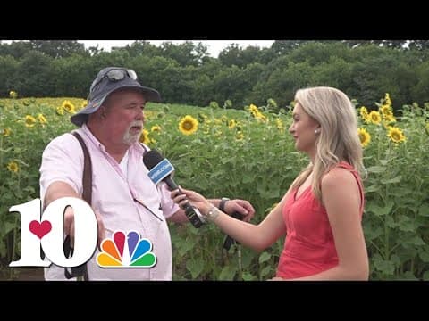 How to care for those summer flowers