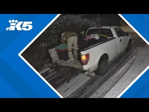 Burglars steal 60 guns, ammunition and paintings from Puyallup storage facility