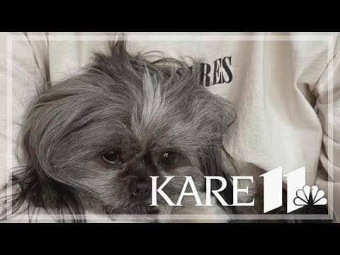 St. Louis Park Police have identified a ‘person of interest’ in recent ‘dognapping’ case