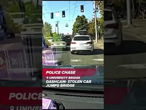Caught On Camera: Car fleeing police jumps bridge