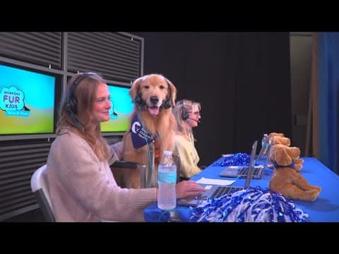 Working Fur Kids raises over $477k for Rady Children's Hospital Resident Canine Therapy program