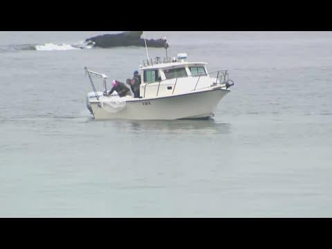Scientist dye waves pink for ocean study