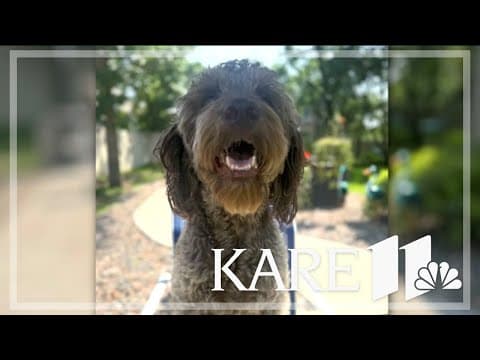 Your Good News: Erin Carlson, Dan Waldschmidt