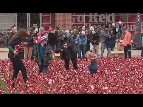 12,000 pinwheels planted outside Wexner Medical Center’s transplant center for Donate Life Month