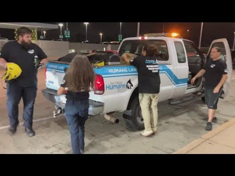 San Diego Humane Society sends team to help animals affected by Hurricane Ian