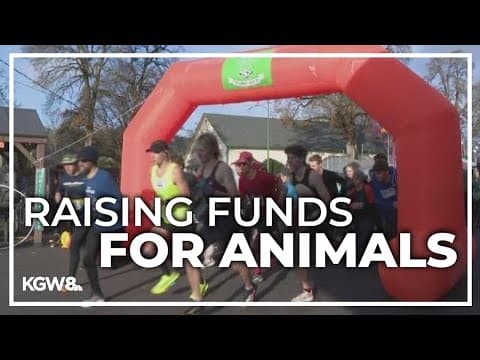 Portlanders kick off Thanksgiving morning with Tofurkey Trot