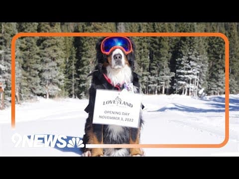 Parker the Snow Dog, honorary mayor of Georgetown, passes away