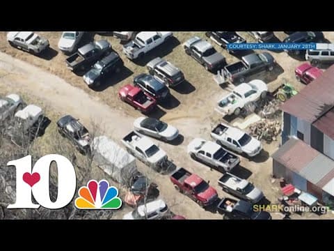 Activists push to make cockfighting a felony