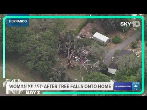 Weeki Wachee woman dies after large tree falls onto mobile home