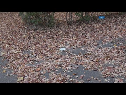 Explainer: Tennessee's PEACE Act