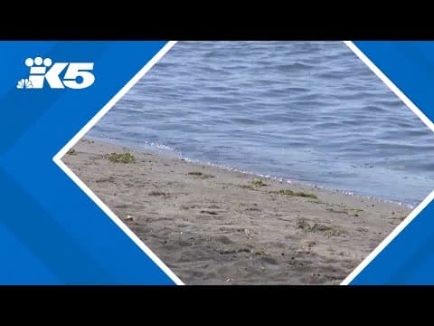 Divers find body of man who disappeared in the Columbia River