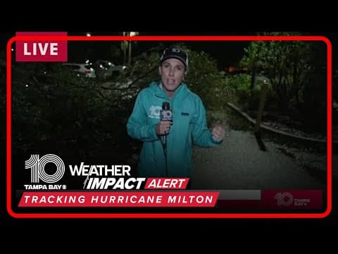 Trees uprooted in Manatee County from Hurricane Milton