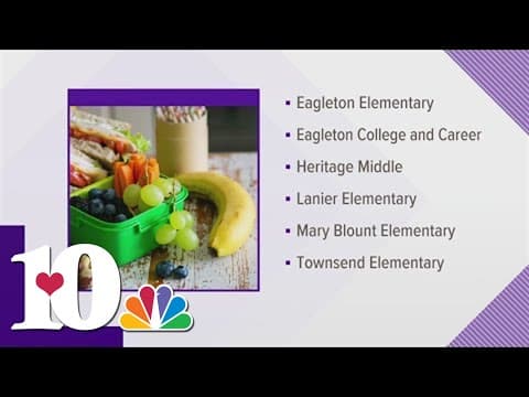 Blount Co. Schools starting summer food program