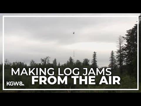 Helicopter hefts timber to east Multnomah County creek to create logjams