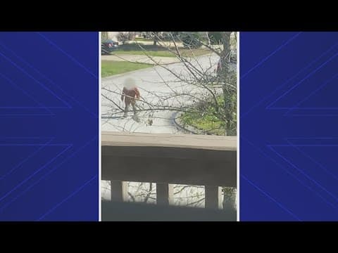 HCSO: Man kills himself after shooting his ex-boyfriend, opening fire on ex-boyfriend's new lover