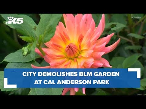 Black Lives Memorial Garden demolished at Cal Anderson Park in Seattle