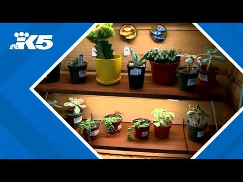 Seattle’s Urban Earth Nursery to close after nearly 30 years