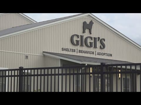 First-of-its-kind clinic in central Ohio is saving puppies from deadly parvovirus