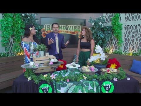 Island Vibe Music Festival at Spanish Landing Park