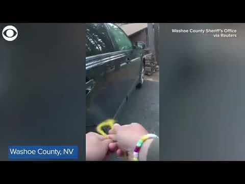 Bear freed from car in Nevada