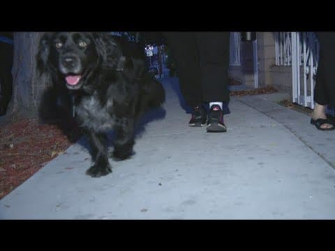 City of San Diego replaces 3 sidewalk blocks in Encanto neighborhood