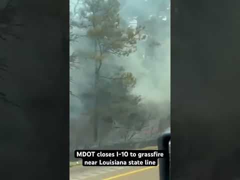 Mississippi grassfire closes I-10 near Louisiana state line on Friday, Aug. 11, 2023.